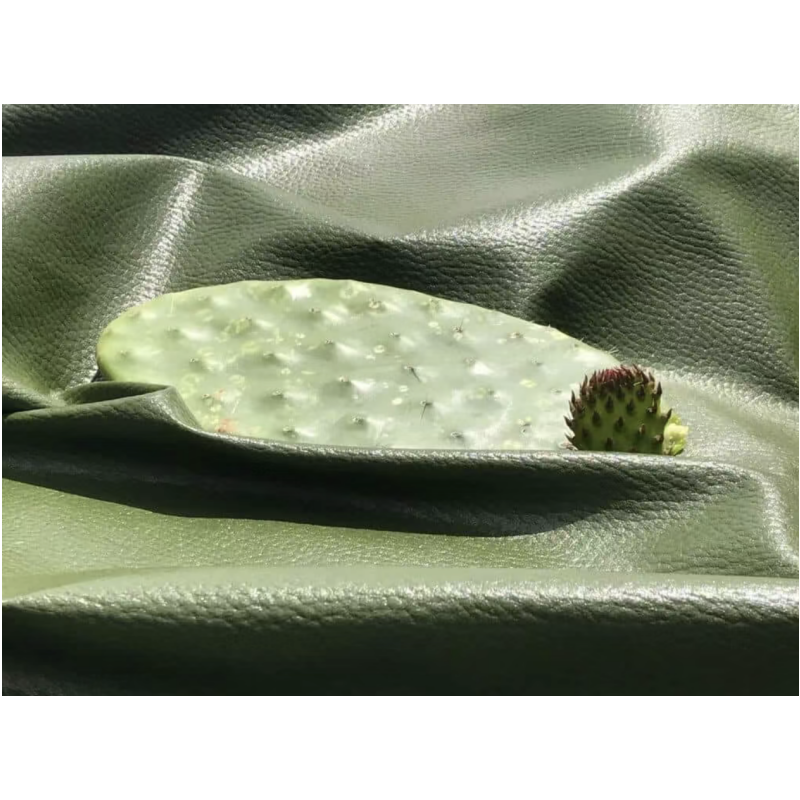 Plant Leather