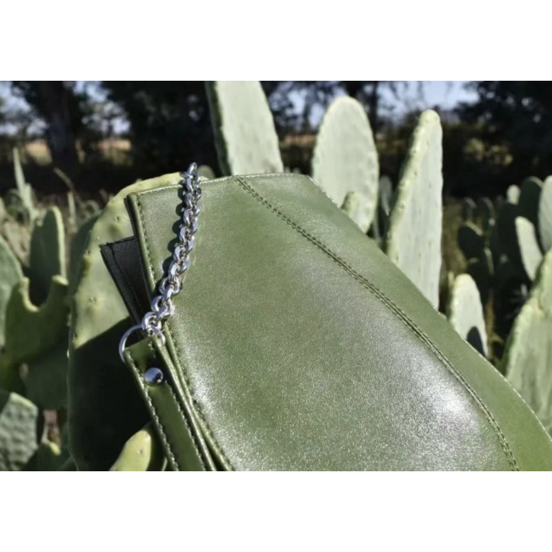 Cuir de cactus